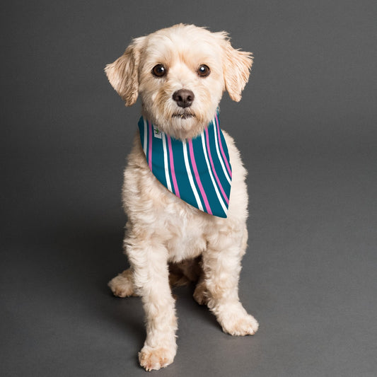 Dizzy Pickle Coming Up Daisies TP Reversible Pet Scarf