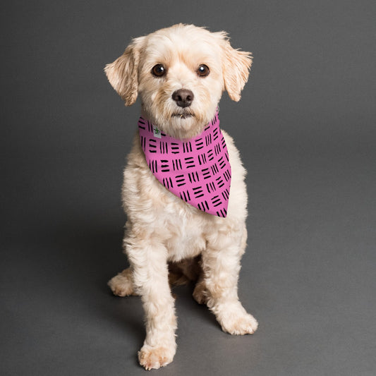 Dizzy Pickle Coming Up Daisies BP Reversible Pet Scarf