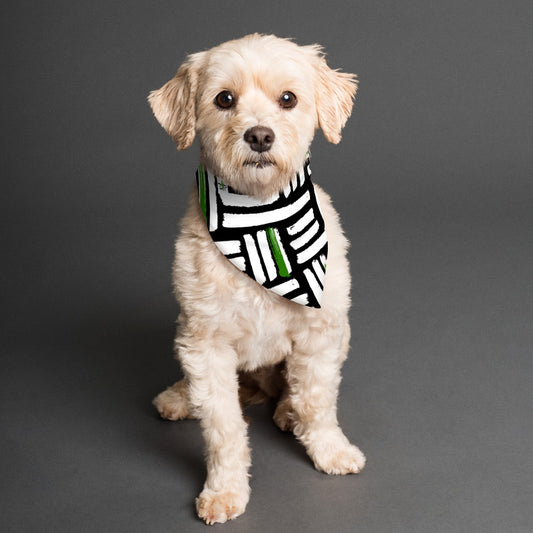 Kati - Reversible Pet Scarf by Dizzy Pickle