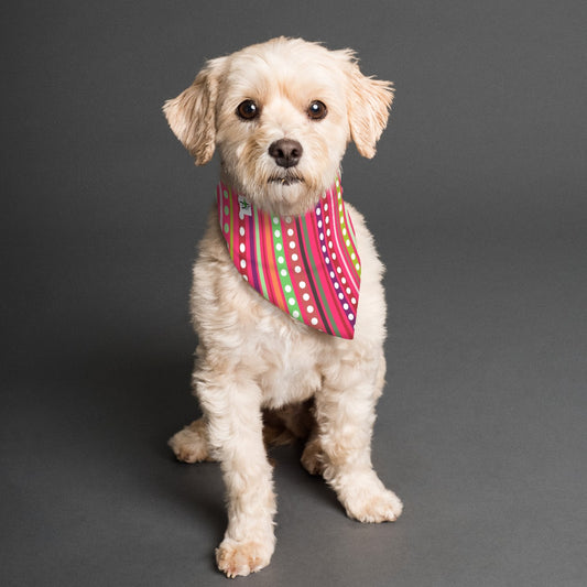 Dizzy Pickle Courtney Reversible Pet Scarf