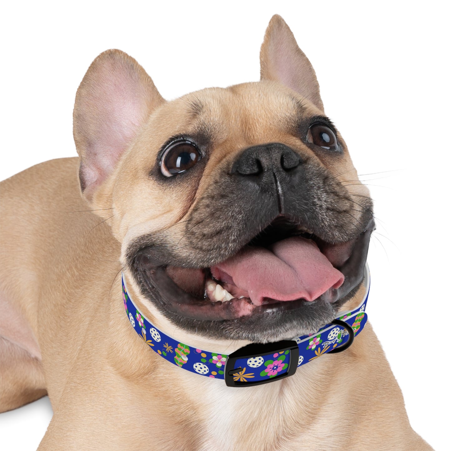 Dizzy Pickle Rita Pickleball Dog Collar