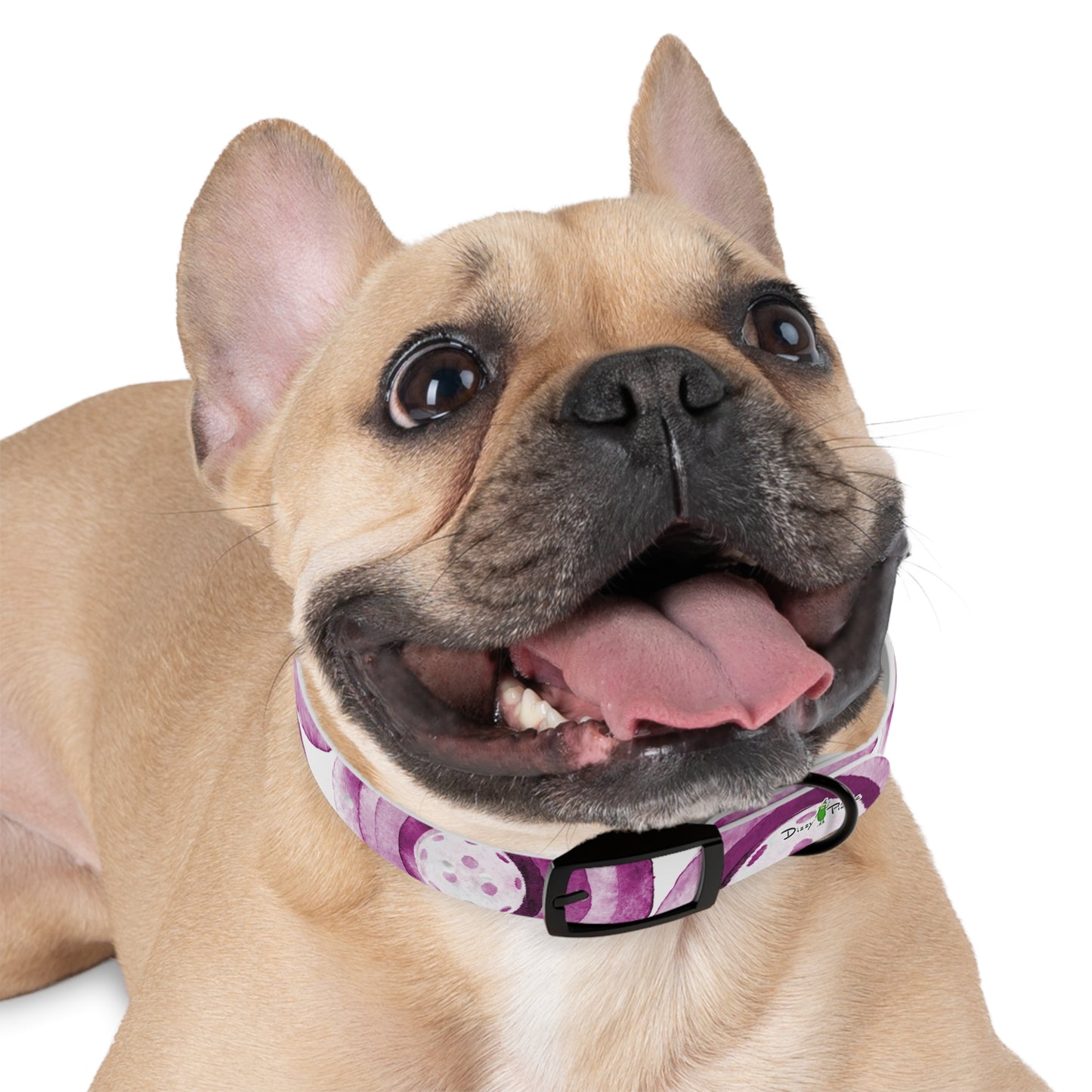 Dizzy Pickle Heidi MW Pickleball Dog Collar