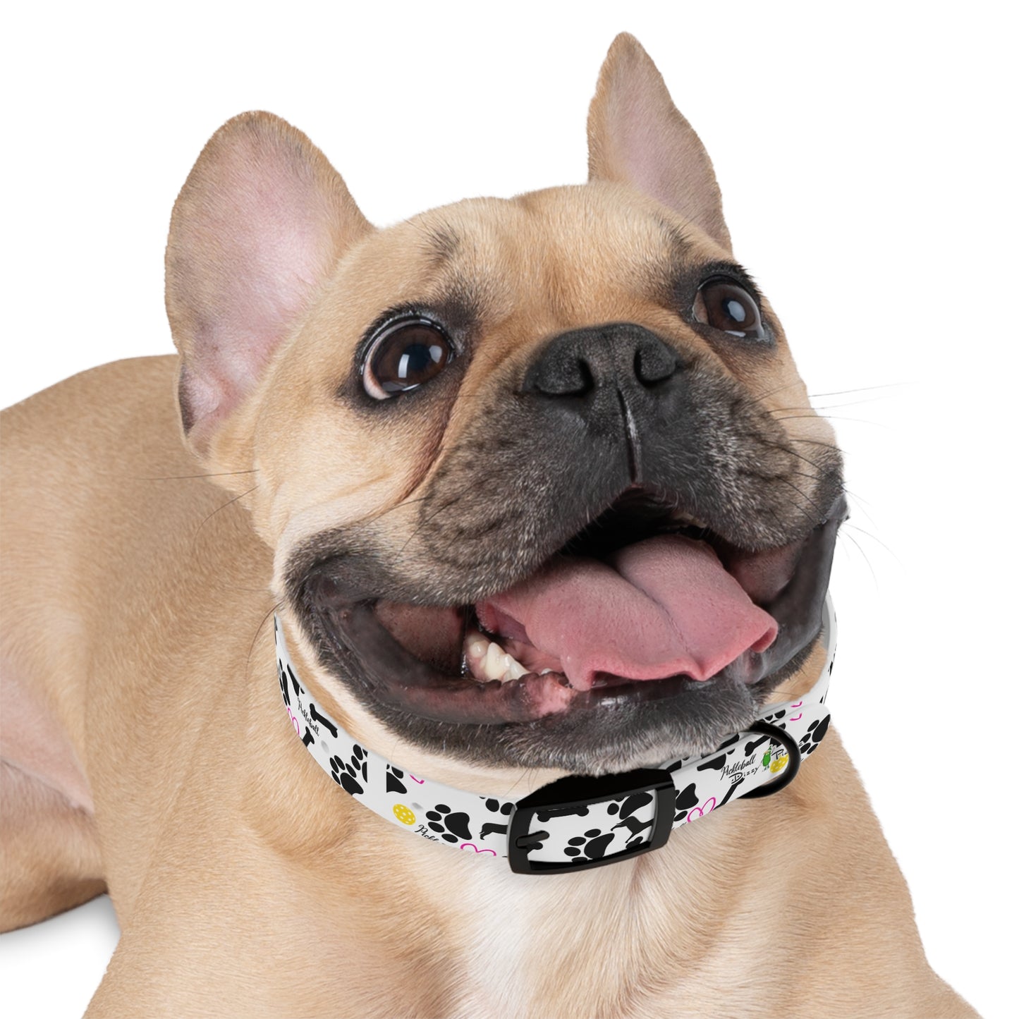 Dizzy Pickle Millie Pickleball Dog Collar