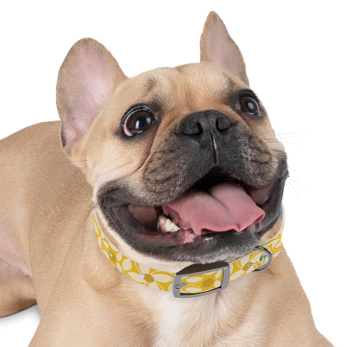 Dizzy Pickle Beth Gold Pickleball Dog Collar