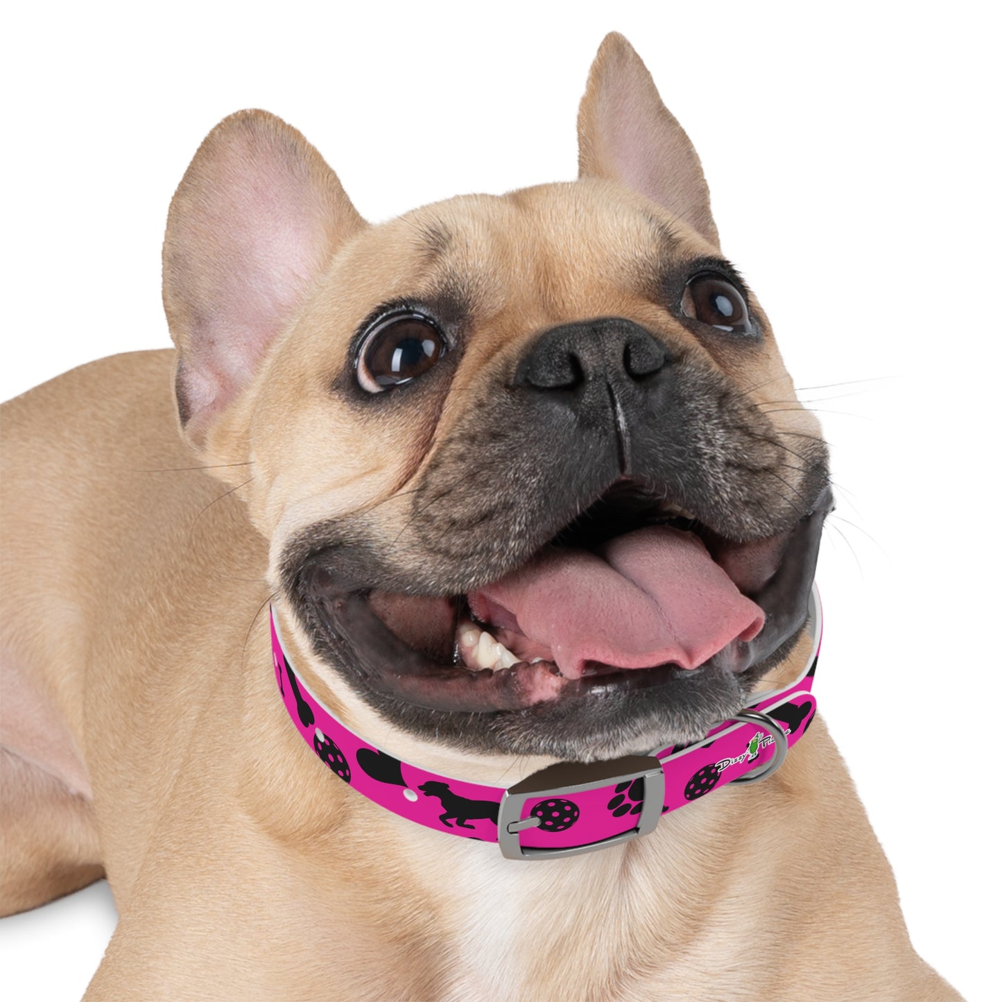 Dizzy Pickle Millie Pink Pickleball Dog Collar