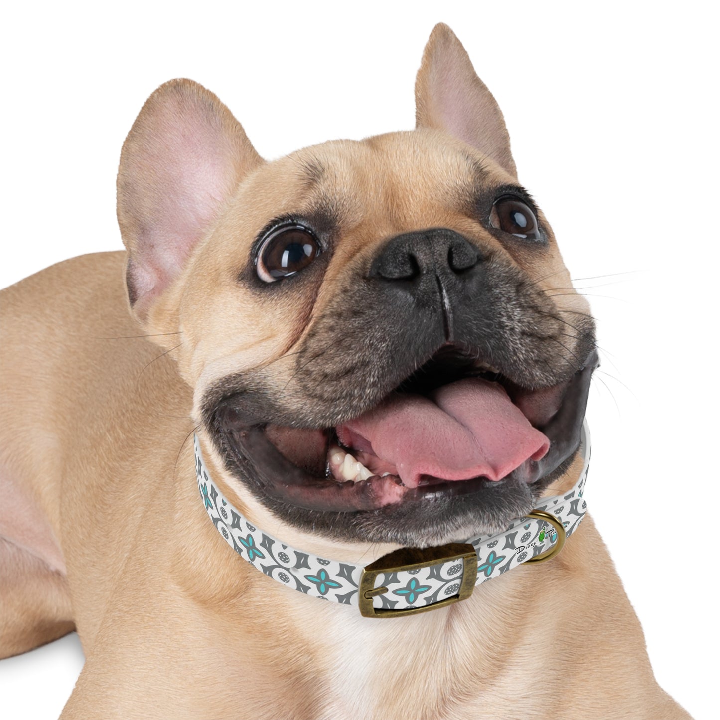 Dizzy Pickle Shelby White Pickleball Dog Collar