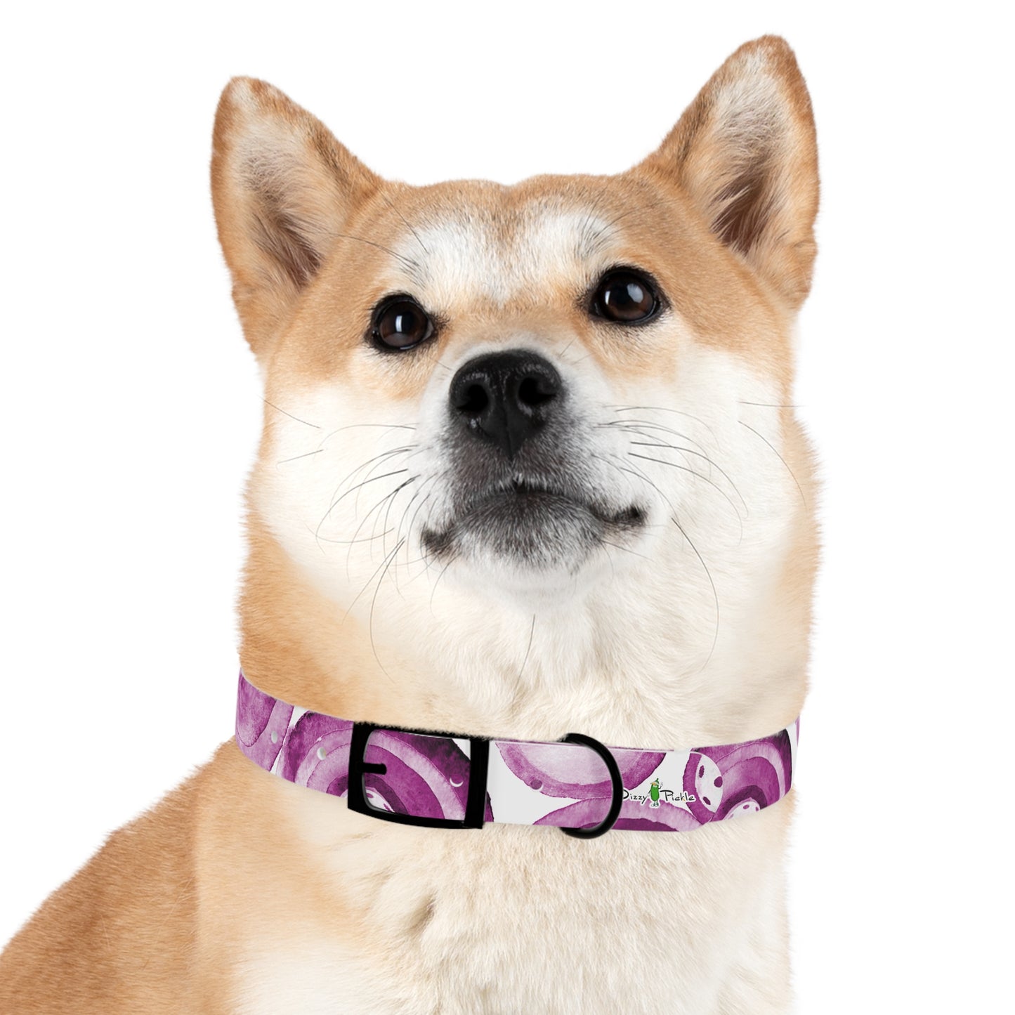 Dizzy Pickle Heidi MW Pickleball Dog Collar