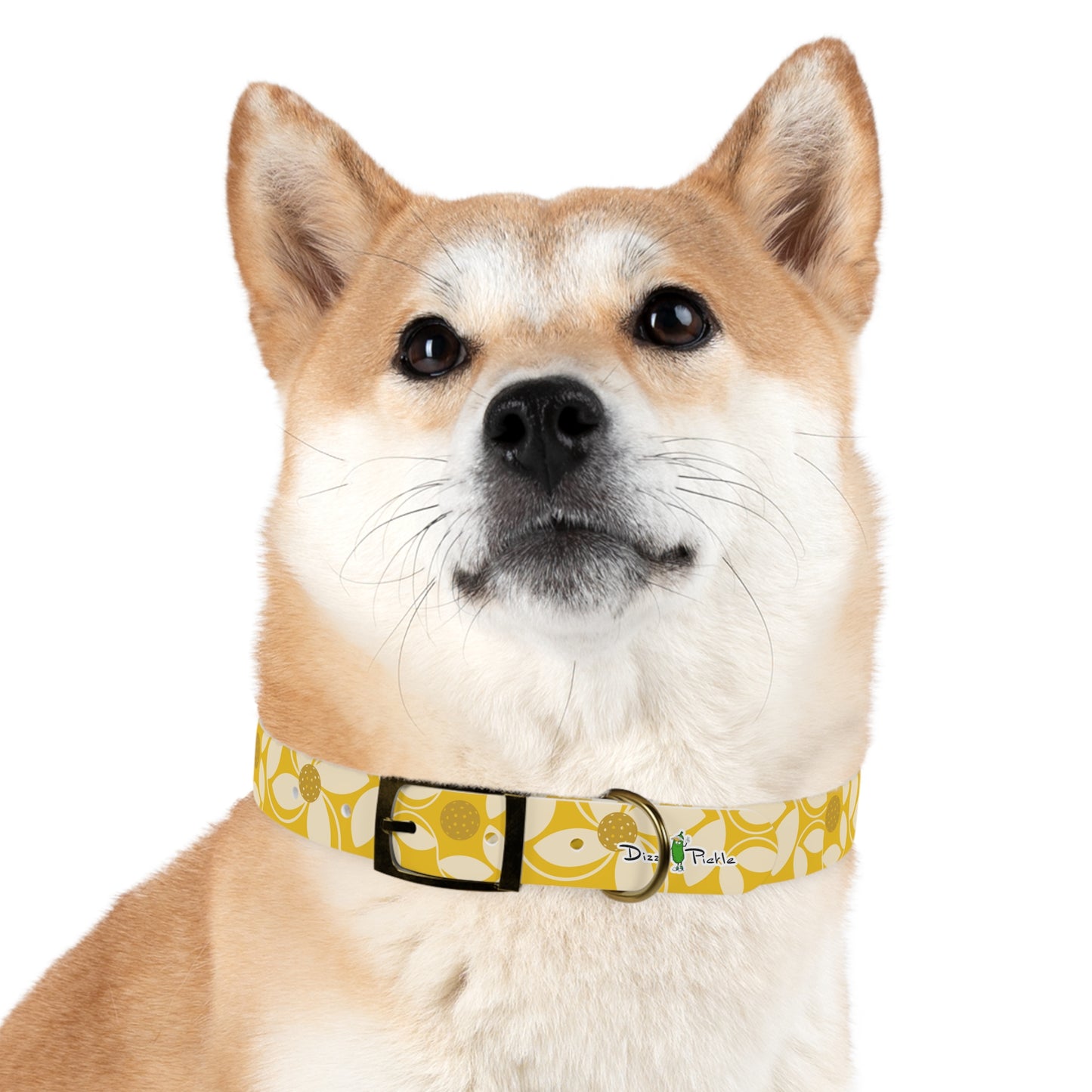 Dizzy Pickle Beth Gold Pickleball Dog Collar