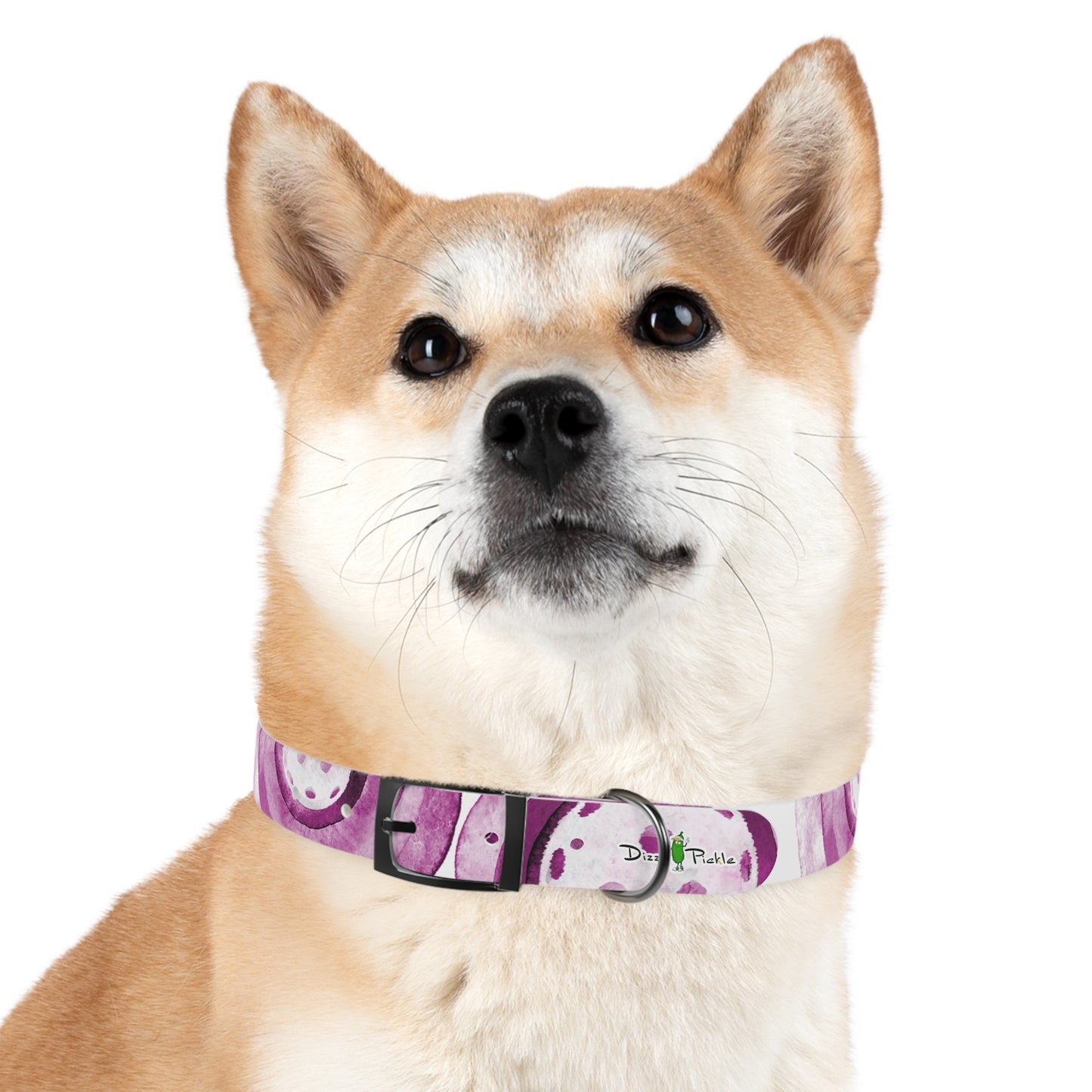 Dizzy Pickle Heidi MW Pickleball Dog Collar