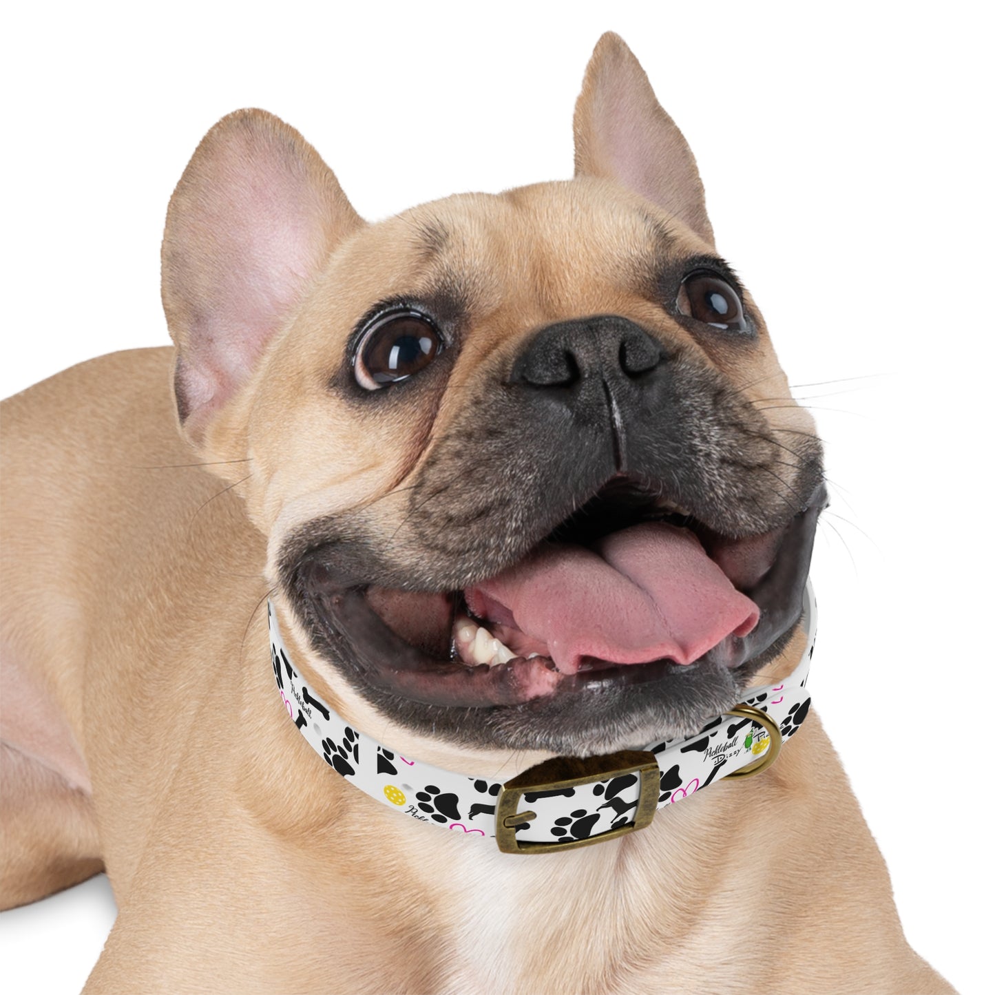 Dizzy Pickle Millie Pickleball Dog Collar