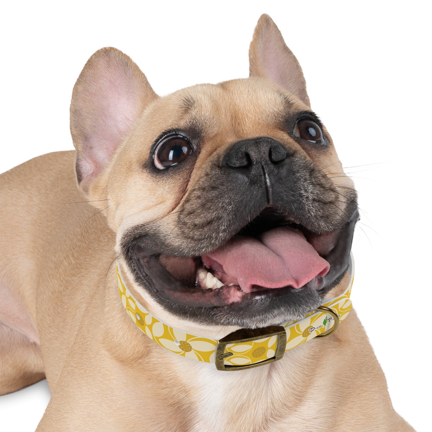 Dizzy Pickle Beth Gold Pickleball Dog Collar