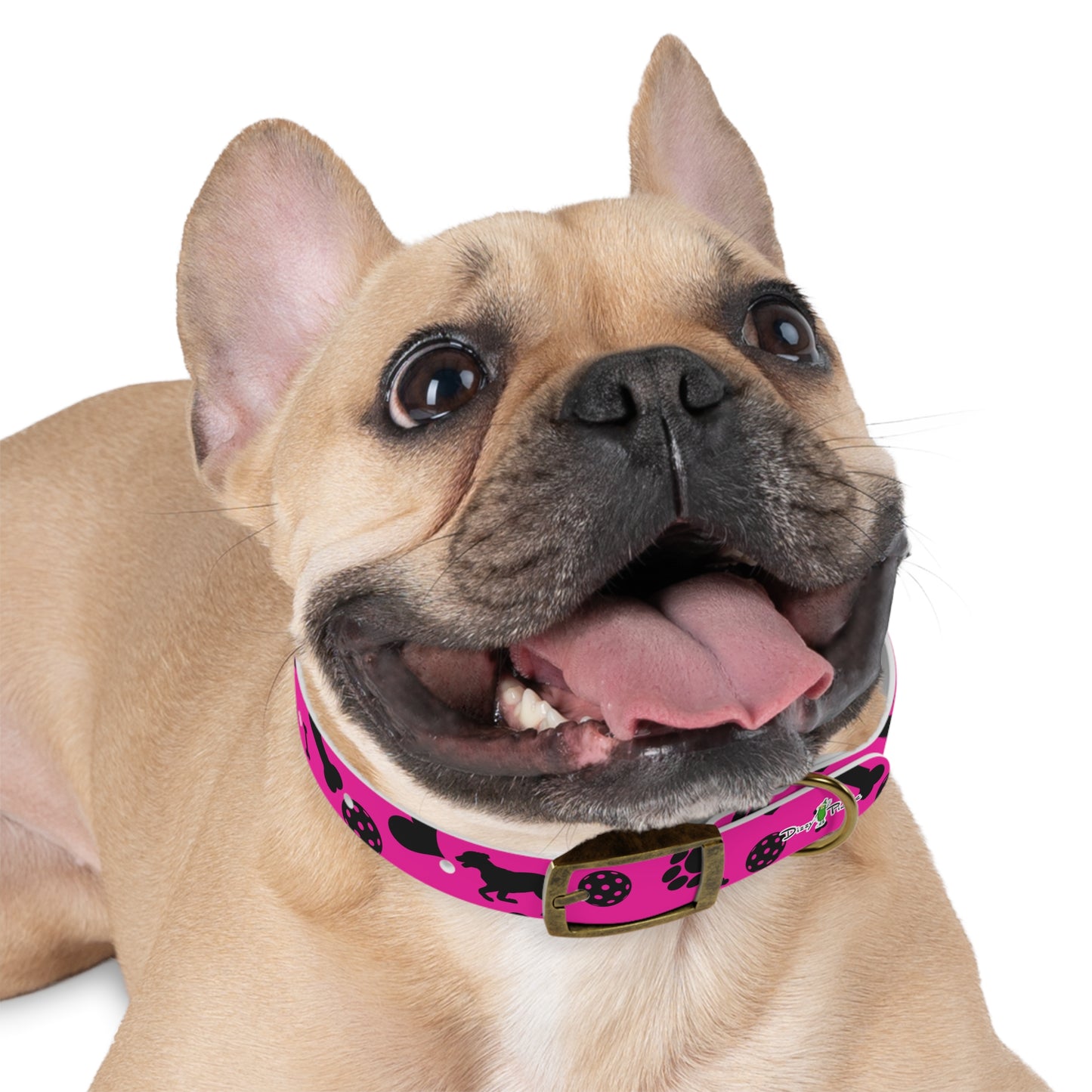 Dizzy Pickle Millie Pink Pickleball Dog Collar