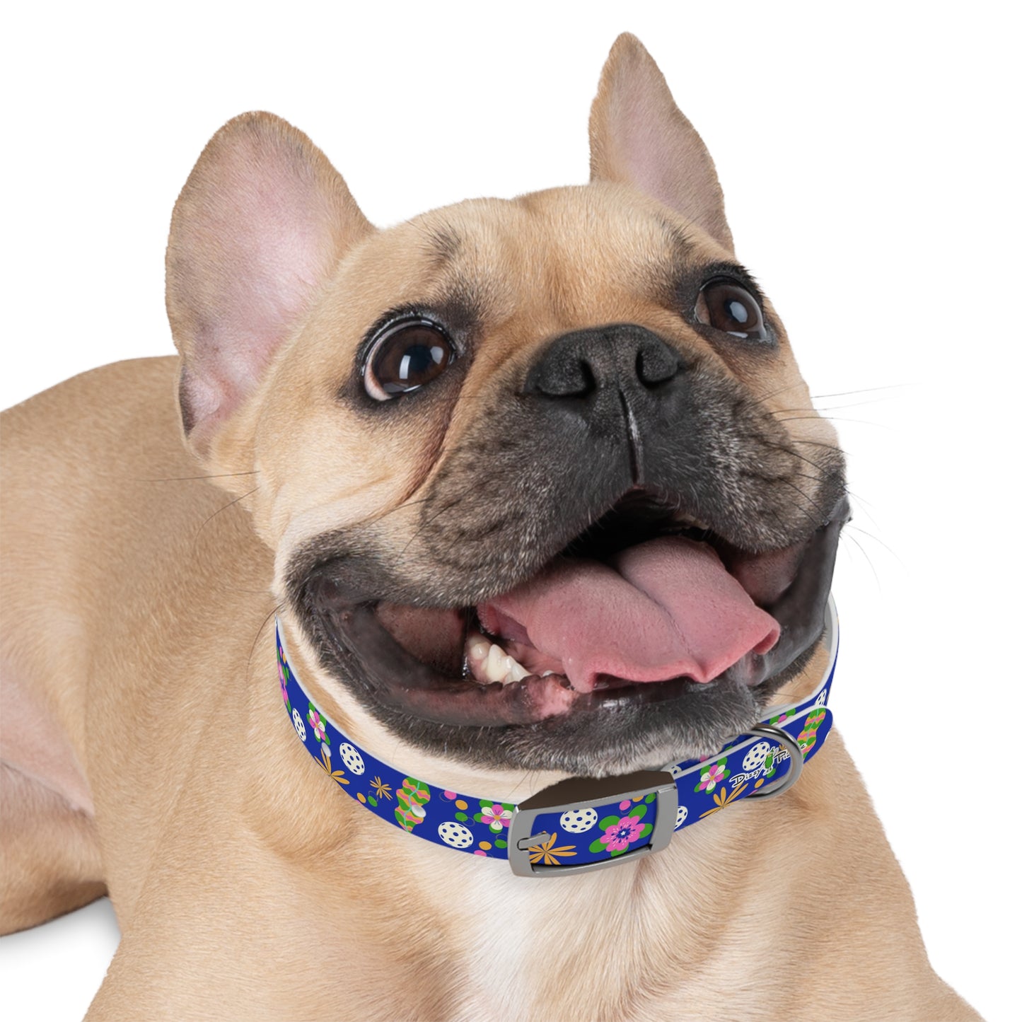 Dizzy Pickle Rita Pickleball Dog Collar