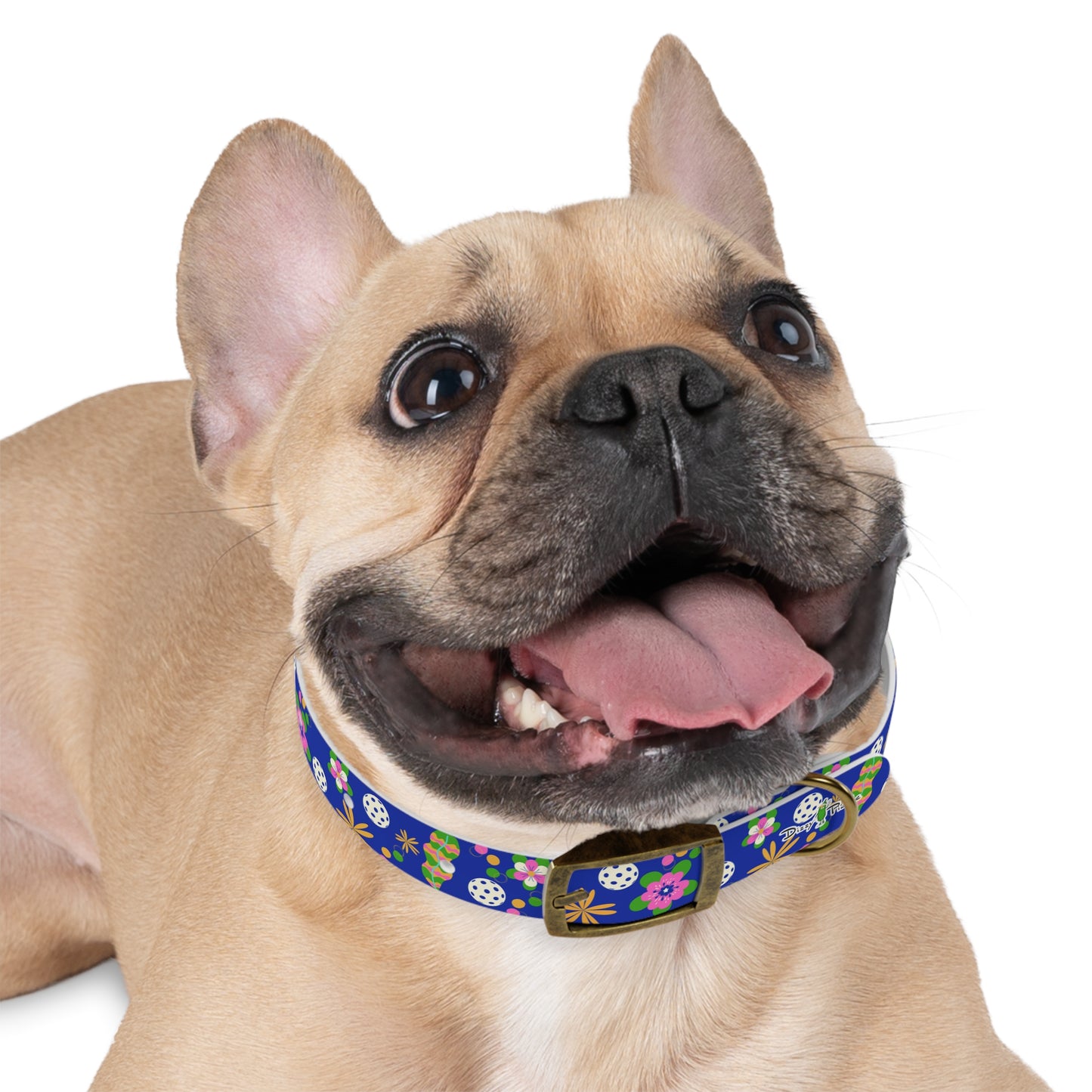 Dizzy Pickle Rita Pickleball Dog Collar