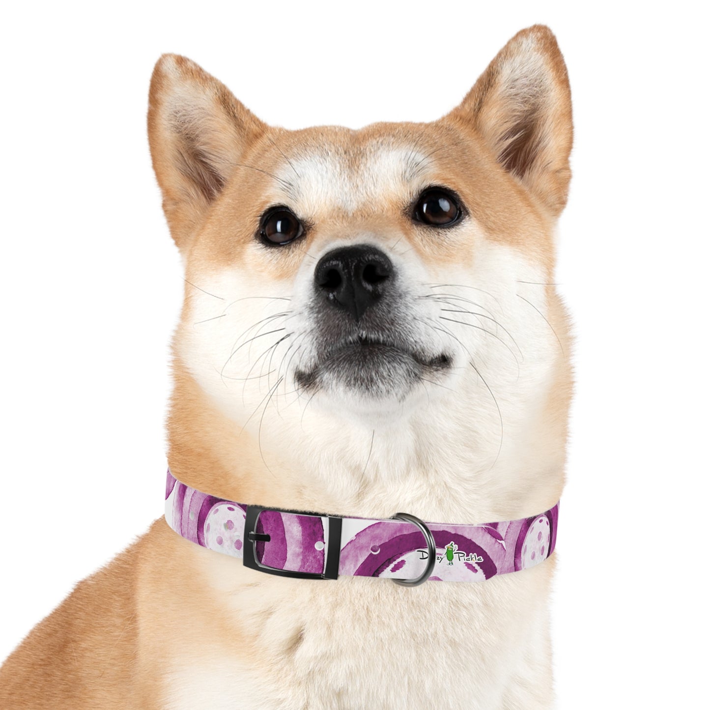 Dizzy Pickle Heidi MW Pickleball Dog Collar