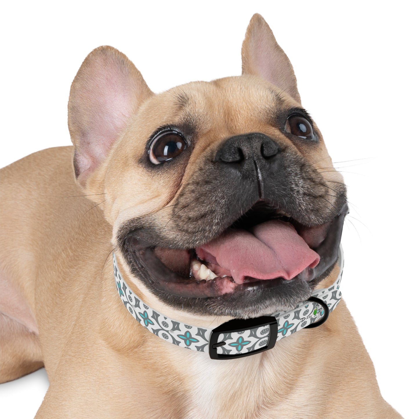 Dizzy Pickle Shelby White Pickleball Dog Collar