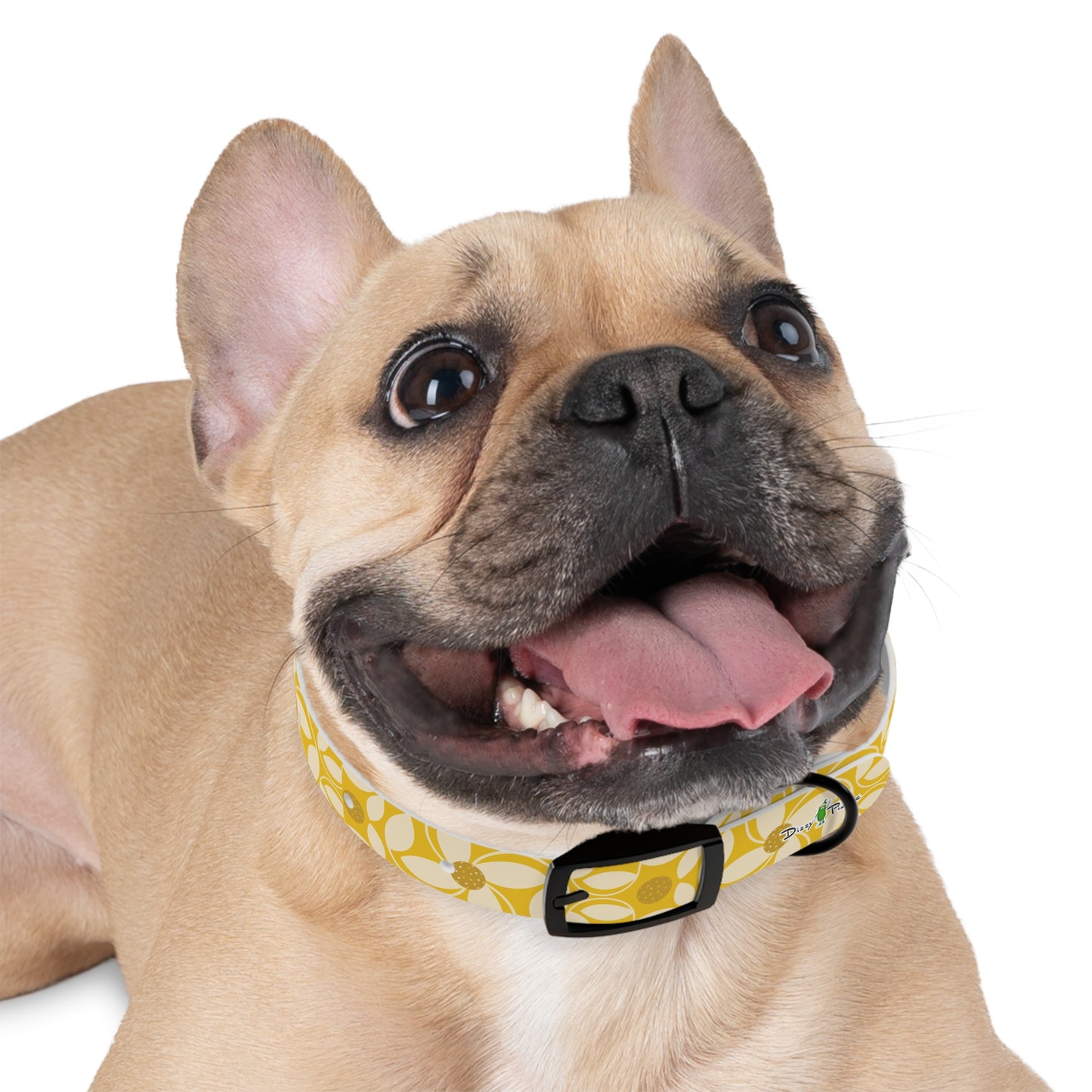 Dizzy Pickle Beth Gold Pickleball Dog Collar