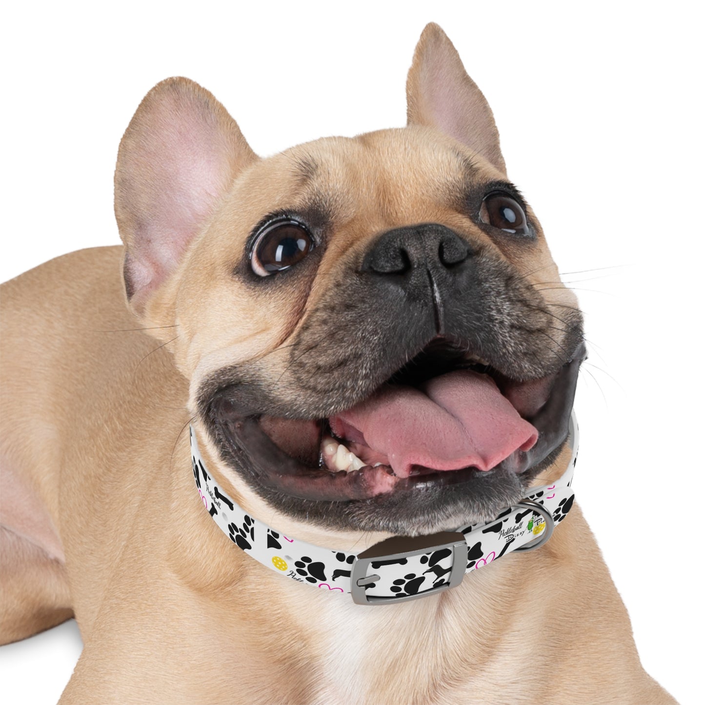 Dizzy Pickle Millie Pickleball Dog Collar