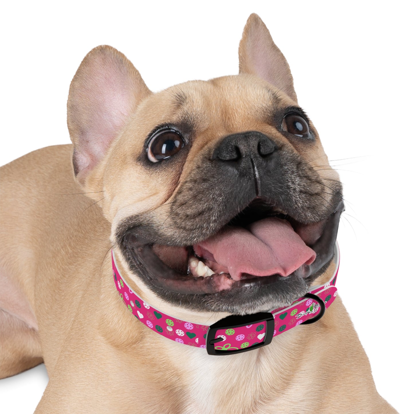 Dizzy Pickle Penny PG Pickleball Dog Collar