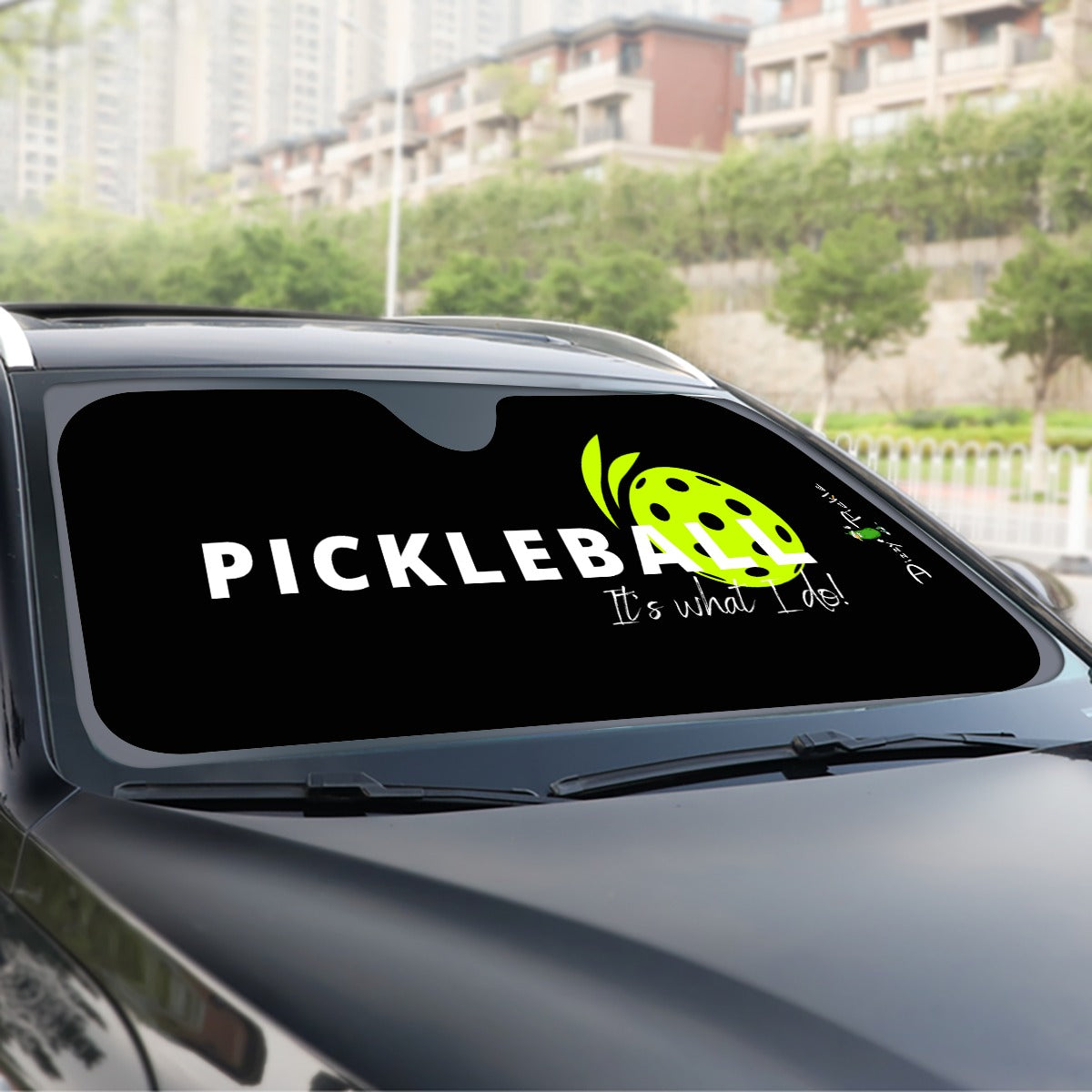 DZY P Classic - Black -  Pickleball Windshield Sunshade by Dizzy Pickle