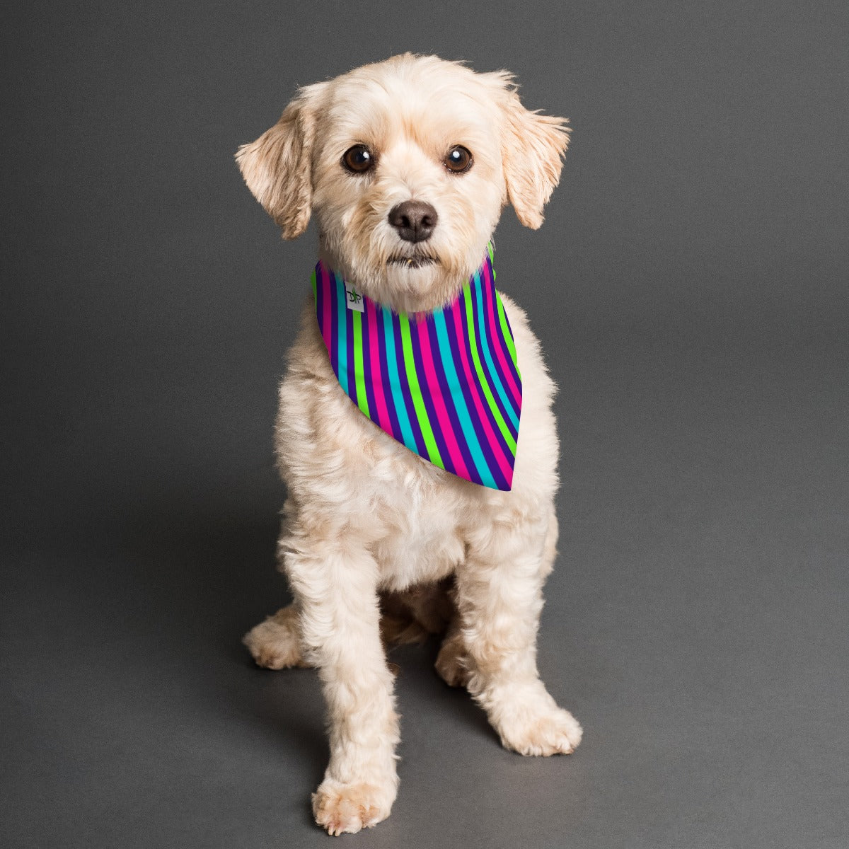 Diana - Reversible Pet Scarf by Dizzy Pickle