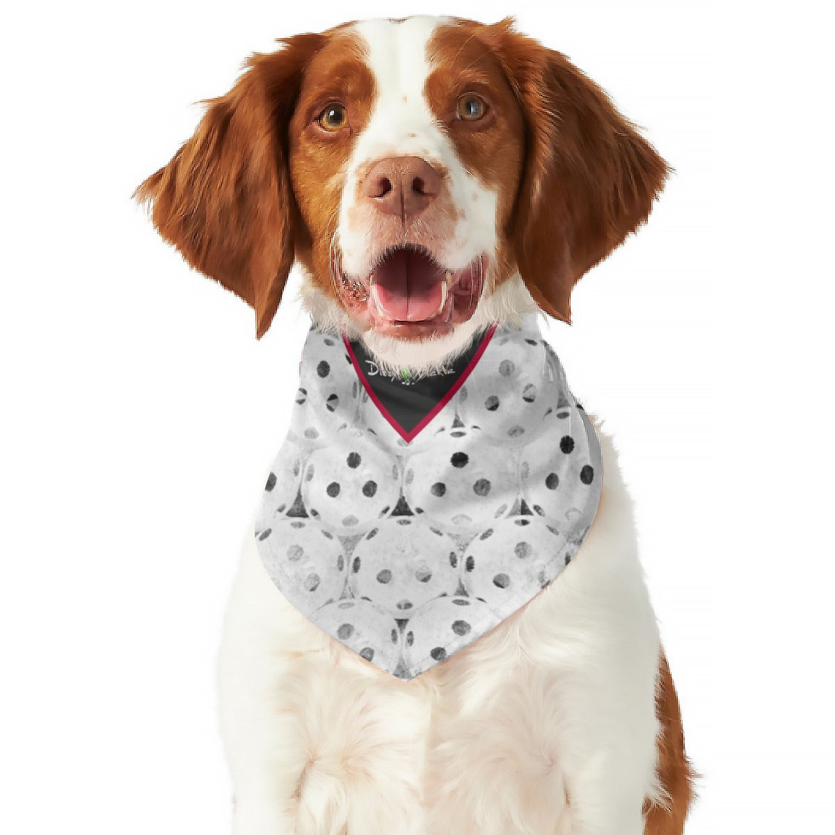 Dizzy Pickle Heidi BR Balls All Breed Reversible Pickleball Pet Scarf