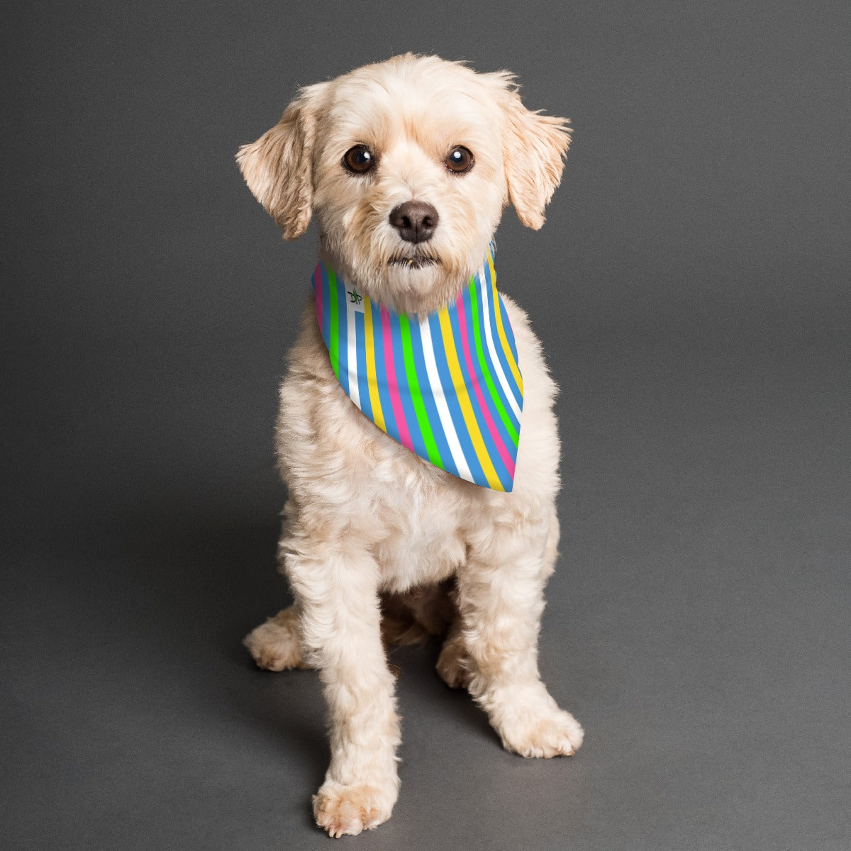 Dizzy Pickle Julie Reversible Pet Scarf