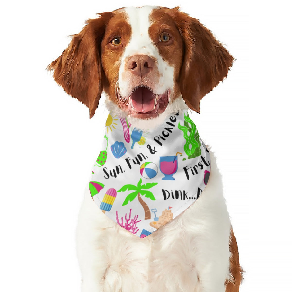 Dizzy Pickle Julie Reversible Pet Scarf