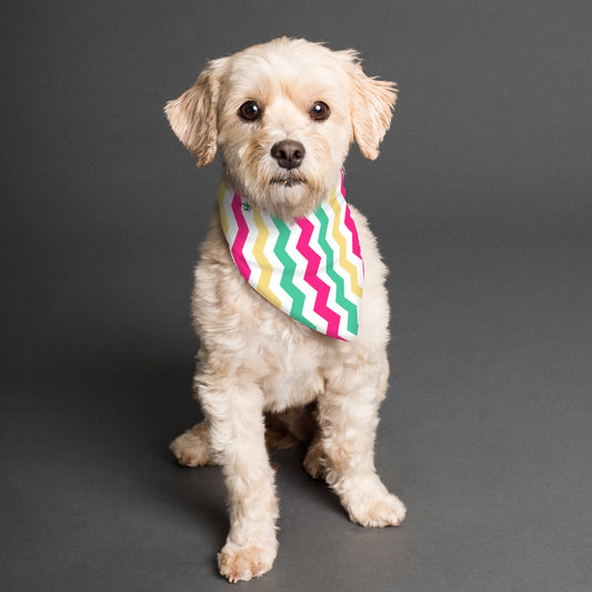 MaryEllen - Reversible Pet Scarf by Dizzy Pickle