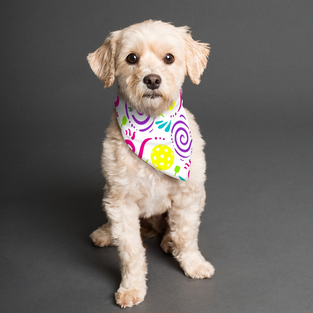 It's Swell - Reversible Pet Scarf by Dizzy Pickle