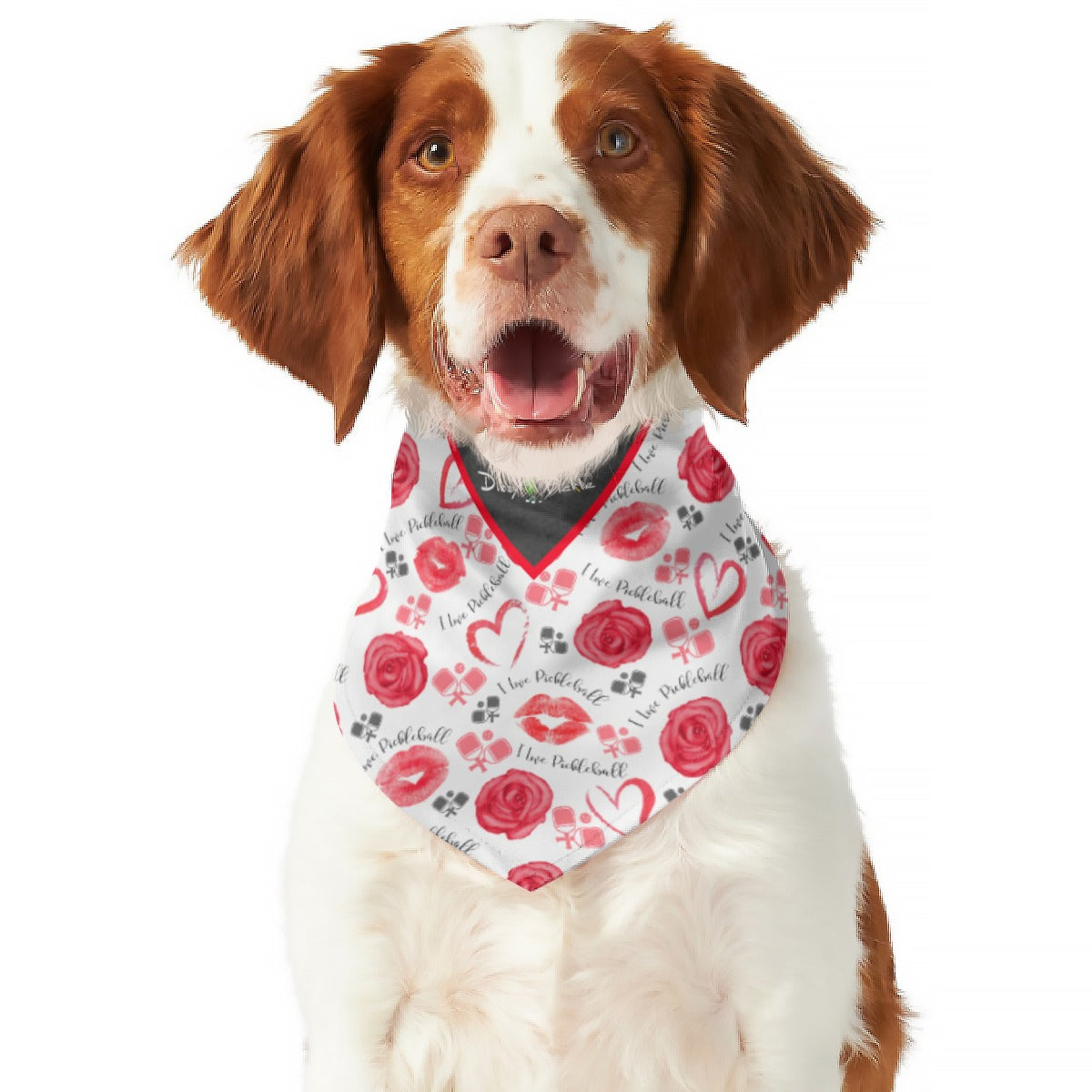 Dizzy Pickle Hearts and Roses All Breed Reversible Pickleball Pet Scarf