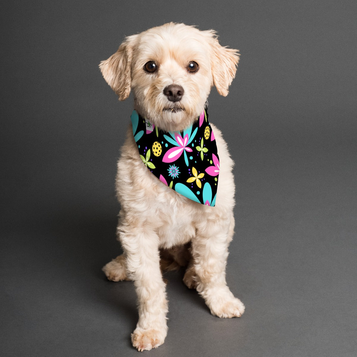 Donna - Reversible Pet Scarf by Dizzy Pickle