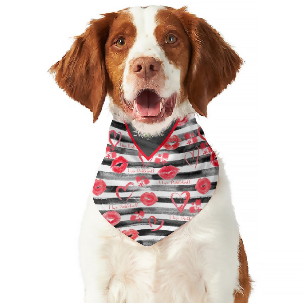 Dizzy Pickle Hugs and Kisses All Breed Reversible Pickleball Pet Scarf