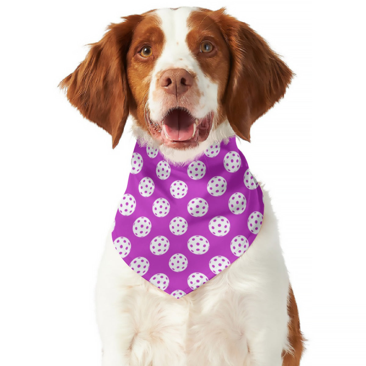 Dizzy Pickle GrayC Reversible Pet Scarf