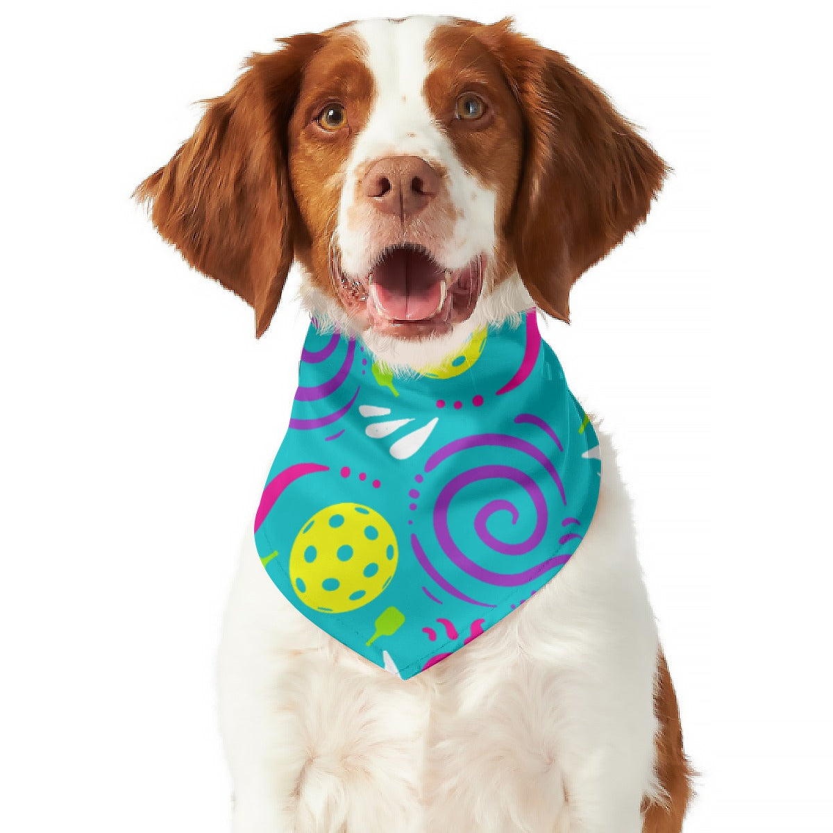 It's Swell - Reversible Pet Scarf by Dizzy Pickle