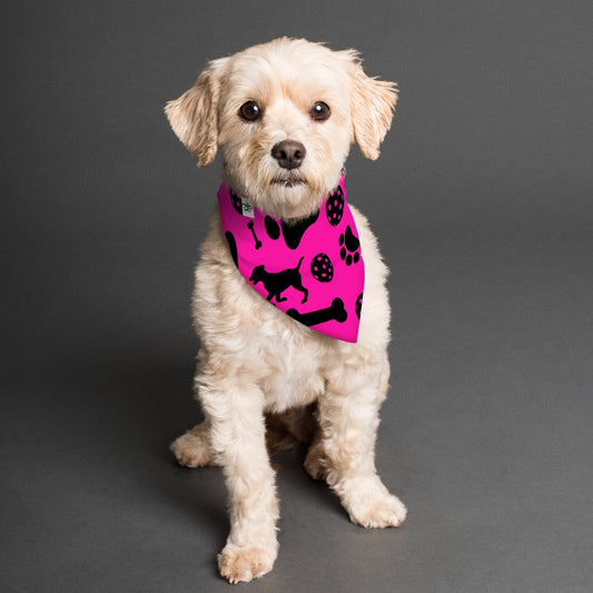 Millie  - Reversible Pet Scarf by Dizzy Pickle