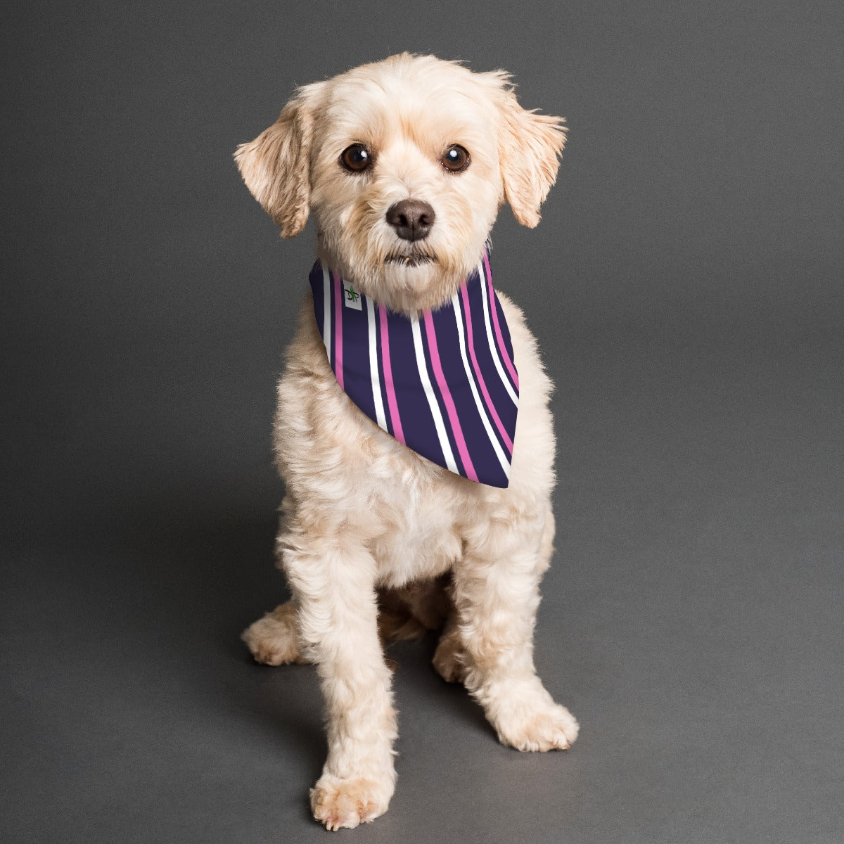 Dizzy Pickle Coming Up Daisies PP Reversible Pet Scarf